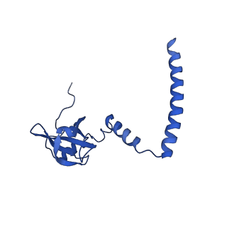 0948_6lqm_S_v1-0
Cryo-EM structure of a pre-60S ribosomal subunit - state C