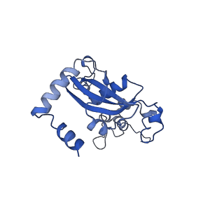 0948_6lqm_U_v1-0
Cryo-EM structure of a pre-60S ribosomal subunit - state C