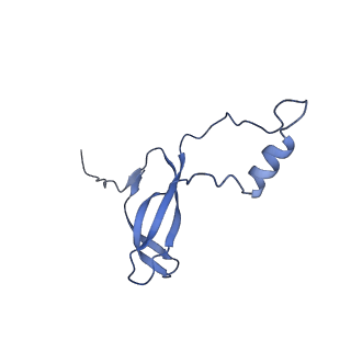 0948_6lqm_W_v1-0
Cryo-EM structure of a pre-60S ribosomal subunit - state C