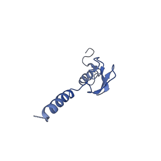 0948_6lqm_X_v1-0
Cryo-EM structure of a pre-60S ribosomal subunit - state C