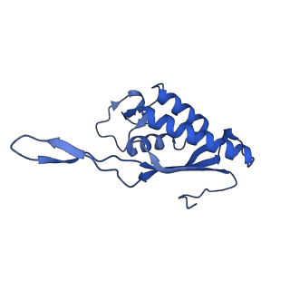 0948_6lqm_Y_v1-0
Cryo-EM structure of a pre-60S ribosomal subunit - state C