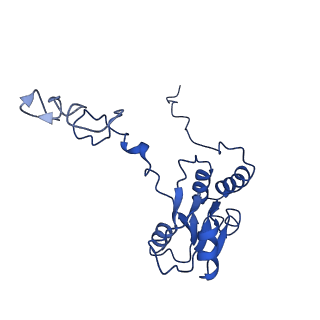0948_6lqm_Z_v1-0
Cryo-EM structure of a pre-60S ribosomal subunit - state C