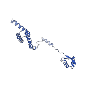 0948_6lqm_a_v1-0
Cryo-EM structure of a pre-60S ribosomal subunit - state C