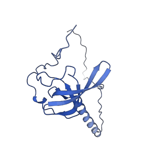 0948_6lqm_c_v1-0
Cryo-EM structure of a pre-60S ribosomal subunit - state C