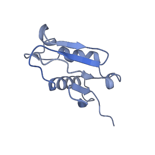 0948_6lqm_d_v1-0
Cryo-EM structure of a pre-60S ribosomal subunit - state C