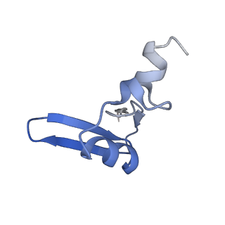 0948_6lqm_f_v1-0
Cryo-EM structure of a pre-60S ribosomal subunit - state C