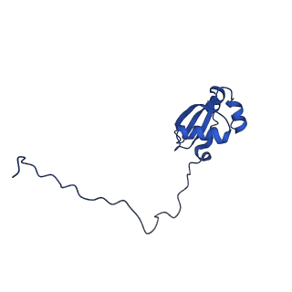 0948_6lqm_g_v1-0
Cryo-EM structure of a pre-60S ribosomal subunit - state C
