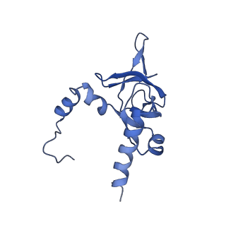 0948_6lqm_h_v1-0
Cryo-EM structure of a pre-60S ribosomal subunit - state C
