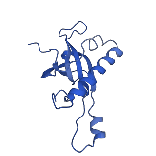0948_6lqm_i_v1-0
Cryo-EM structure of a pre-60S ribosomal subunit - state C