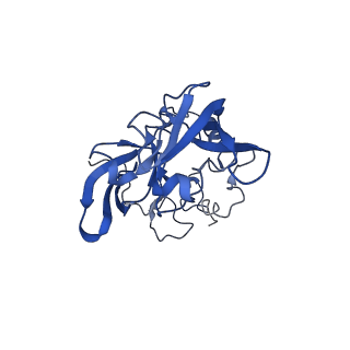 0948_6lqm_m_v1-0
Cryo-EM structure of a pre-60S ribosomal subunit - state C