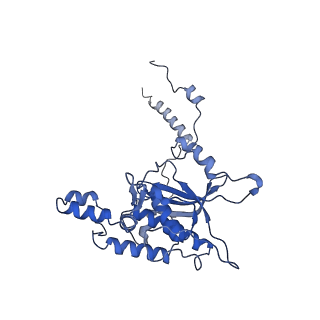 0948_6lqm_r_v1-0
Cryo-EM structure of a pre-60S ribosomal subunit - state C