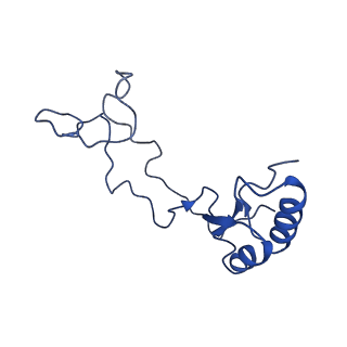 0948_6lqm_t_v1-0
Cryo-EM structure of a pre-60S ribosomal subunit - state C