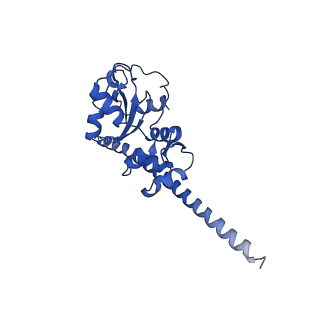 0948_6lqm_w_v1-0
Cryo-EM structure of a pre-60S ribosomal subunit - state C