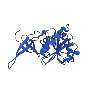 0949_6lqp_3B_v1-1
Cryo-EM structure of 90S small subunit preribosomes in transition states (State A)
