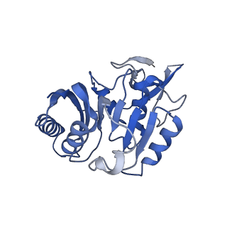0949_6lqp_3C_v1-1
Cryo-EM structure of 90S small subunit preribosomes in transition states (State A)