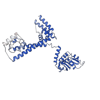 0949_6lqp_3D_v1-1
Cryo-EM structure of 90S small subunit preribosomes in transition states (State A)
