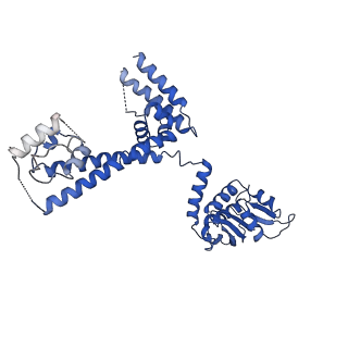 0949_6lqp_3D_v1-2
Cryo-EM structure of 90S small subunit preribosomes in transition states (State A)