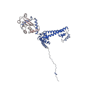 0949_6lqp_3E_v1-1
Cryo-EM structure of 90S small subunit preribosomes in transition states (State A)