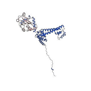 0949_6lqp_3E_v1-2
Cryo-EM structure of 90S small subunit preribosomes in transition states (State A)