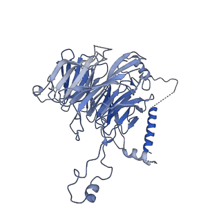 0949_6lqp_3F_v1-1
Cryo-EM structure of 90S small subunit preribosomes in transition states (State A)
