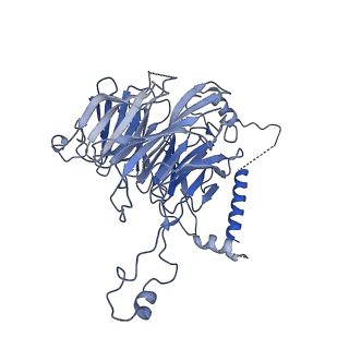 0949_6lqp_3F_v1-2
Cryo-EM structure of 90S small subunit preribosomes in transition states (State A)