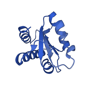 0949_6lqp_3G_v1-1
Cryo-EM structure of 90S small subunit preribosomes in transition states (State A)