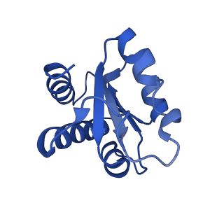 0949_6lqp_3G_v1-2
Cryo-EM structure of 90S small subunit preribosomes in transition states (State A)