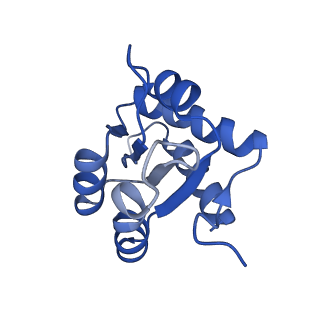 0949_6lqp_3H_v1-1
Cryo-EM structure of 90S small subunit preribosomes in transition states (State A)
