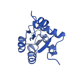 0949_6lqp_3H_v1-2
Cryo-EM structure of 90S small subunit preribosomes in transition states (State A)