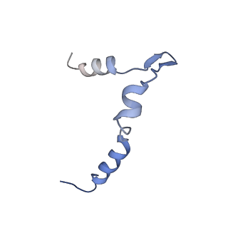 0949_6lqp_5B_v1-1
Cryo-EM structure of 90S small subunit preribosomes in transition states (State A)