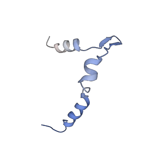 0949_6lqp_5B_v1-2
Cryo-EM structure of 90S small subunit preribosomes in transition states (State A)