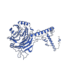 0949_6lqp_5C_v1-2
Cryo-EM structure of 90S small subunit preribosomes in transition states (State A)