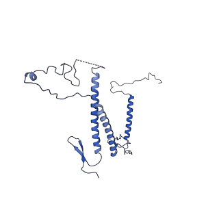 0949_6lqp_5D_v1-1
Cryo-EM structure of 90S small subunit preribosomes in transition states (State A)