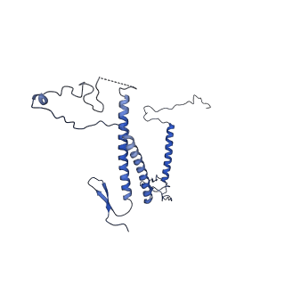 0949_6lqp_5D_v1-2
Cryo-EM structure of 90S small subunit preribosomes in transition states (State A)