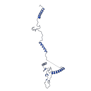 0949_6lqp_5E_v1-1
Cryo-EM structure of 90S small subunit preribosomes in transition states (State A)
