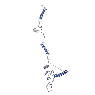 0949_6lqp_5E_v1-2
Cryo-EM structure of 90S small subunit preribosomes in transition states (State A)