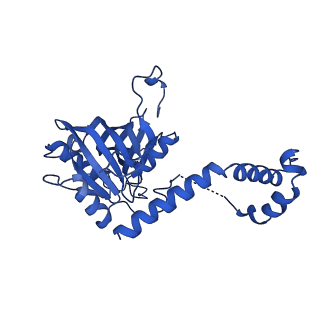 0949_6lqp_5G_v1-1
Cryo-EM structure of 90S small subunit preribosomes in transition states (State A)