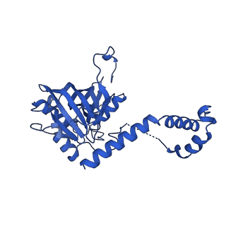 0949_6lqp_5G_v1-2
Cryo-EM structure of 90S small subunit preribosomes in transition states (State A)