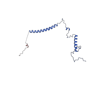 0949_6lqp_5H_v1-1
Cryo-EM structure of 90S small subunit preribosomes in transition states (State A)