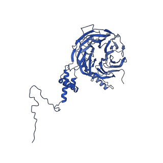 0949_6lqp_5I_v1-1
Cryo-EM structure of 90S small subunit preribosomes in transition states (State A)