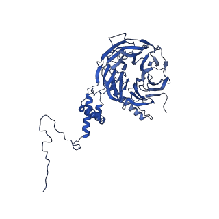 0949_6lqp_5I_v1-2
Cryo-EM structure of 90S small subunit preribosomes in transition states (State A)