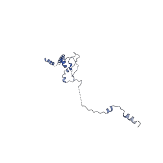 0949_6lqp_5J_v1-2
Cryo-EM structure of 90S small subunit preribosomes in transition states (State A)