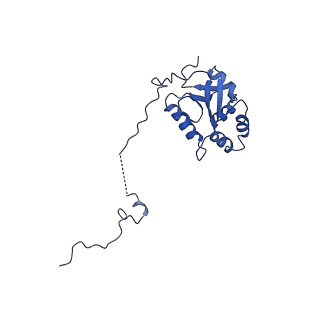 0949_6lqp_5K_v1-1
Cryo-EM structure of 90S small subunit preribosomes in transition states (State A)