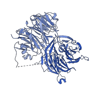 0949_6lqp_A4_v1-1
Cryo-EM structure of 90S small subunit preribosomes in transition states (State A)