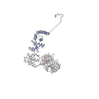 0949_6lqp_A8_v1-1
Cryo-EM structure of 90S small subunit preribosomes in transition states (State A)