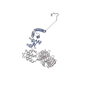 0949_6lqp_A8_v1-2
Cryo-EM structure of 90S small subunit preribosomes in transition states (State A)