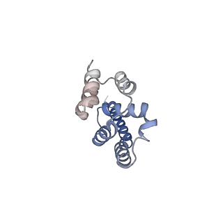 0949_6lqp_A9_v1-1
Cryo-EM structure of 90S small subunit preribosomes in transition states (State A)
