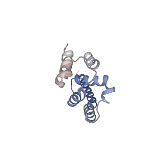 0949_6lqp_A9_v1-2
Cryo-EM structure of 90S small subunit preribosomes in transition states (State A)