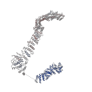 0949_6lqp_AE_v1-1
Cryo-EM structure of 90S small subunit preribosomes in transition states (State A)