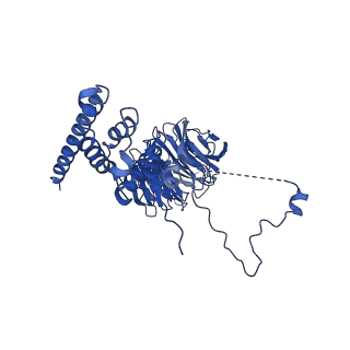 0949_6lqp_AF_v1-1
Cryo-EM structure of 90S small subunit preribosomes in transition states (State A)